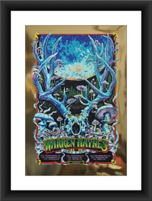 AJ Masthay "Warren Haynes - Spring 2016" Gold Foil